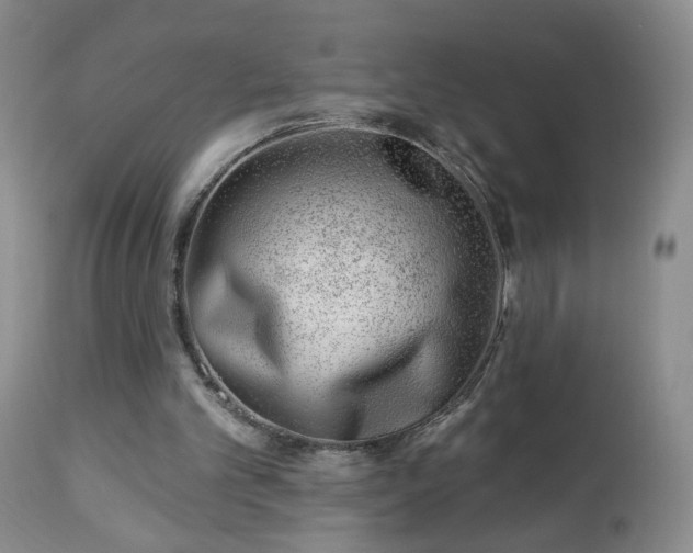 X0000112460101200908241308