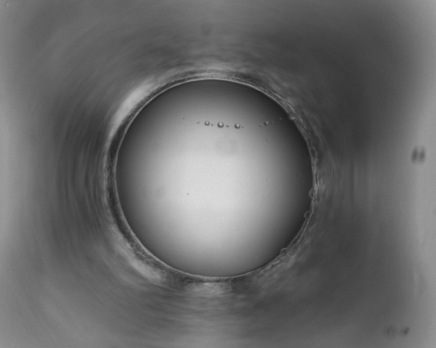 X0000112460102200908241308