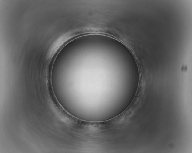 X0000112460103200908241308