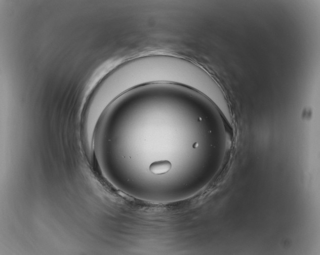 X0000112460104200908241308