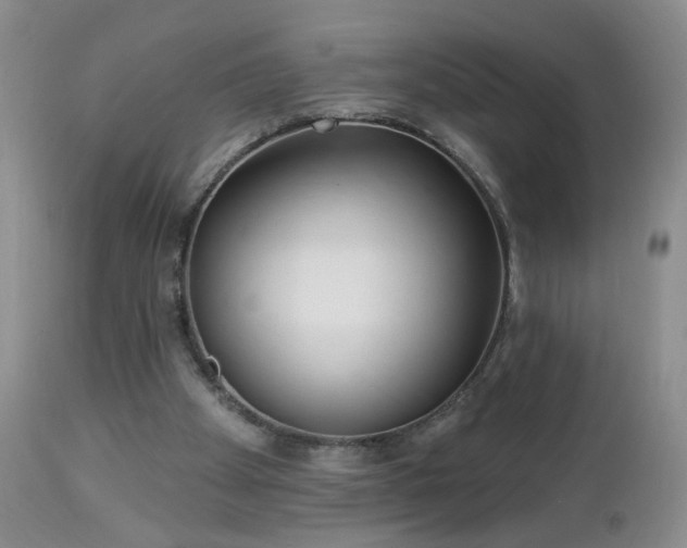 X0000112460105200908241308