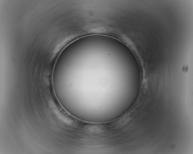 X0000112460106200908241308