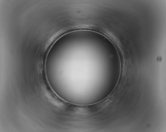 X0000112460107200908241308