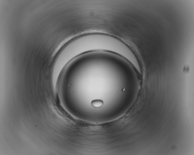 X0000112460108200908241308