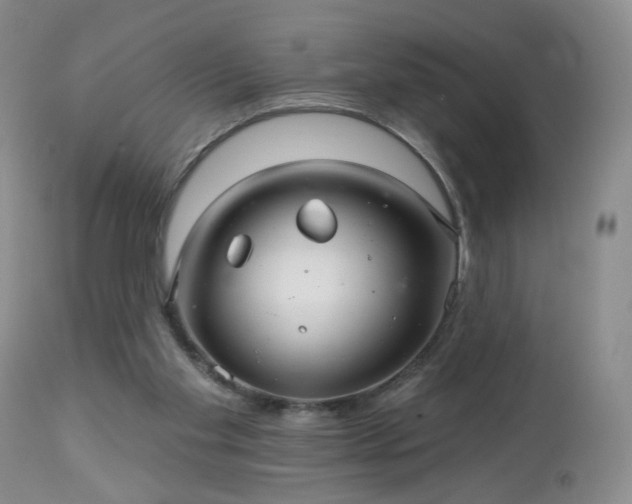 X0000112460109200908241308