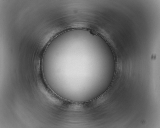 X0000112460110200908241308