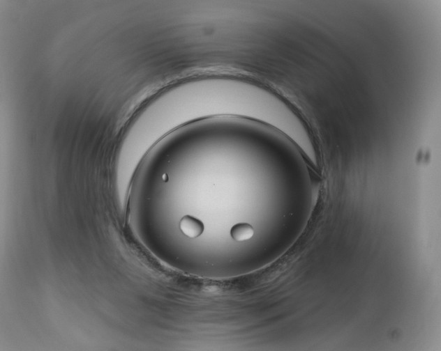 X0000112460111200908241308