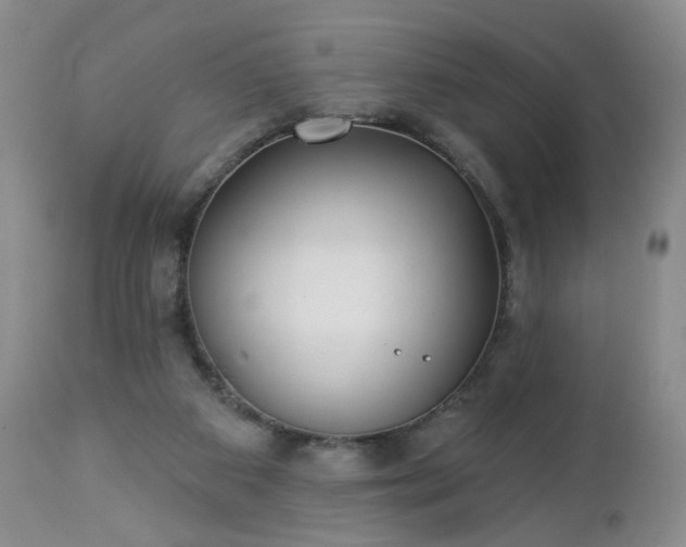 X0000112460113200908241308