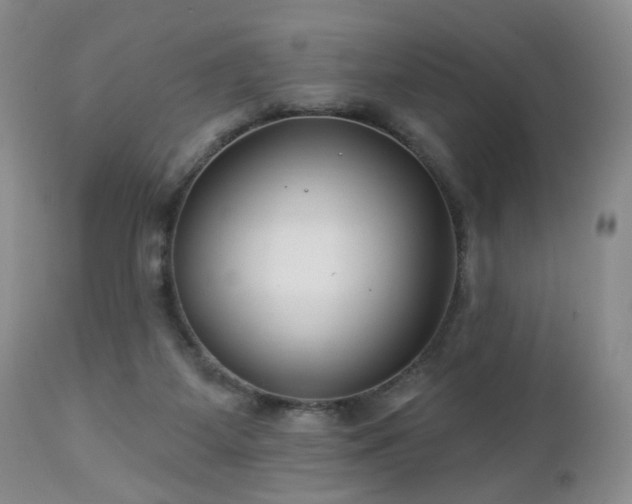 X0000112460115200908241308