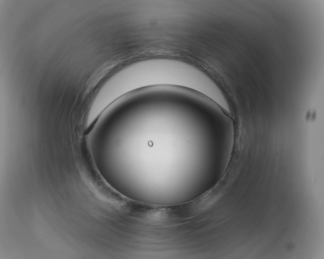 X0000112460116200908241308