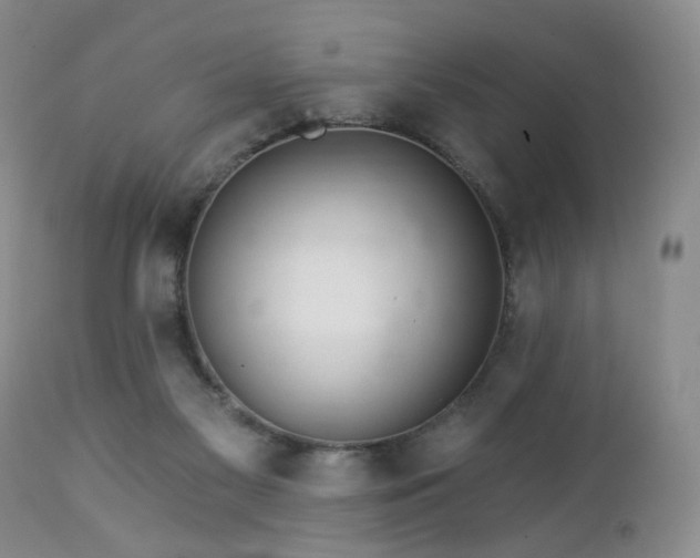 X0000112460117200908241308