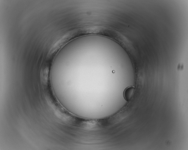 X0000112460118200908241308