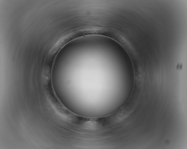 X0000112460119200908241308