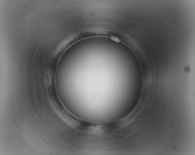 X0000112460120200908241308