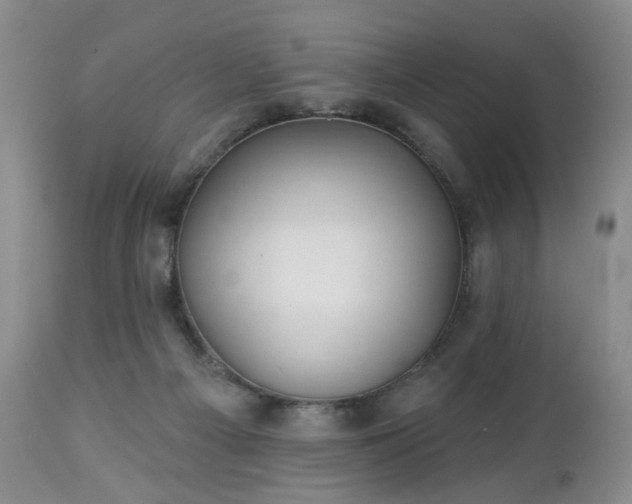 X0000112460121200908241308