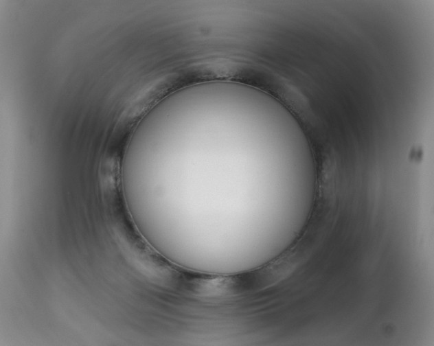 X0000112460122200908241308