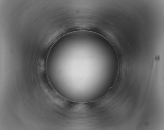 X0000112460123200908241308