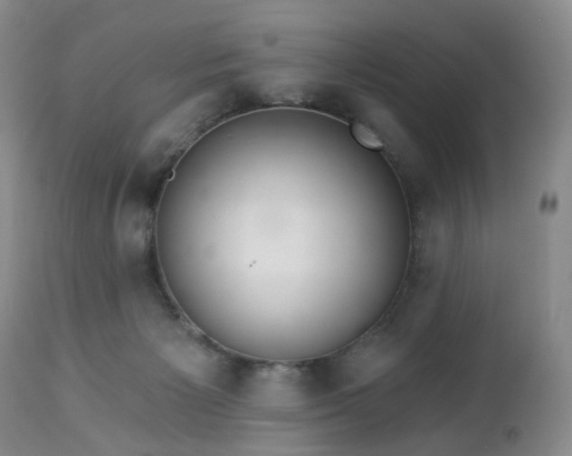 X0000112460125200908241308