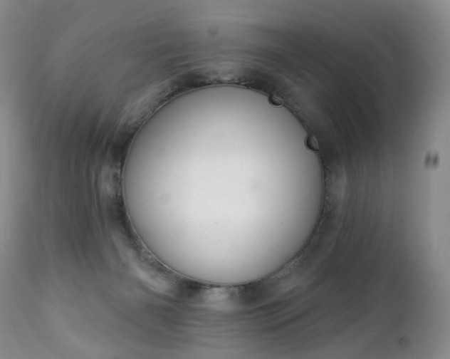 X0000112460126200908241308