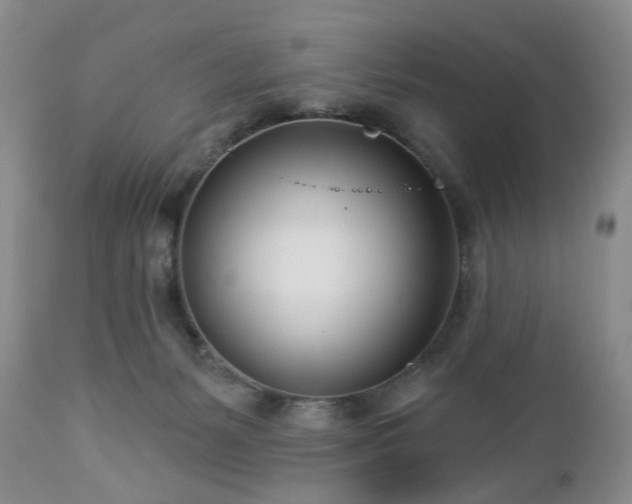 X0000112460127200908241308