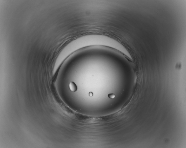 X0000112460128200908241308