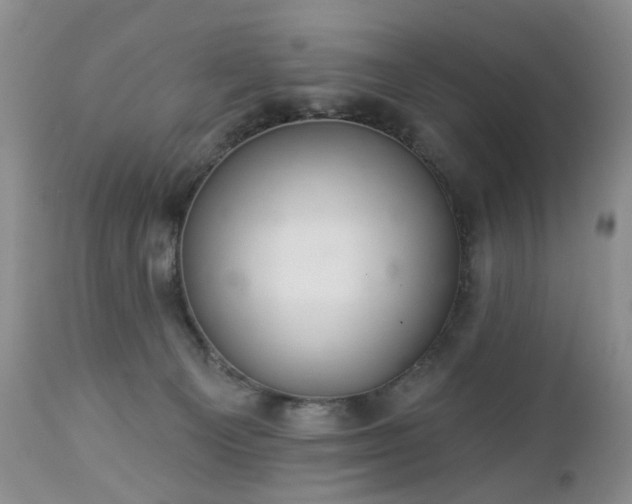 X0000112460129200908241308