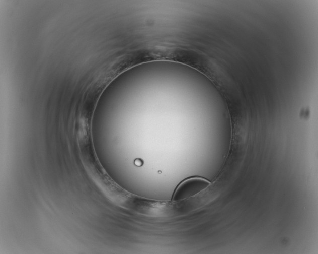 X0000112460130200908241308