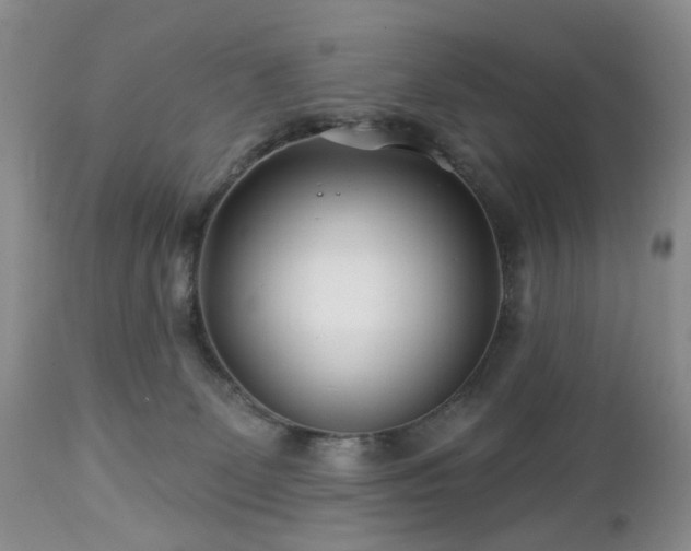 X0000112460131200908241308