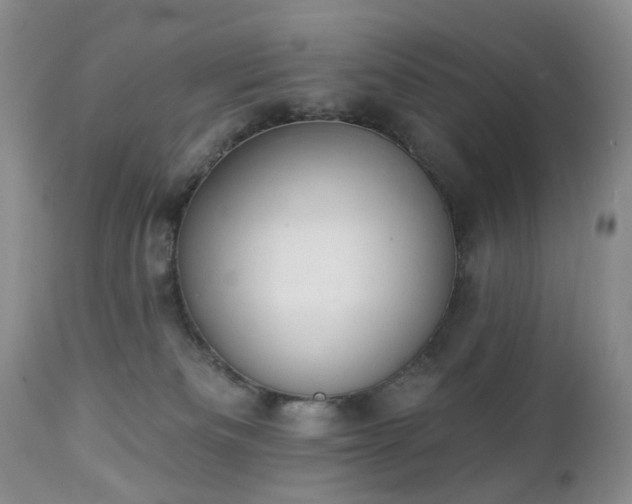 X0000112460133200908241308