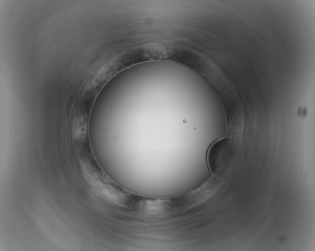 X0000112460134200908241308