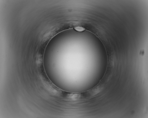 X0000112460135200908241308