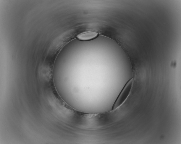 X0000112460136200908241308