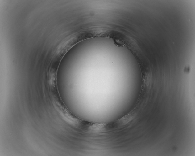 X0000112460138200908241308