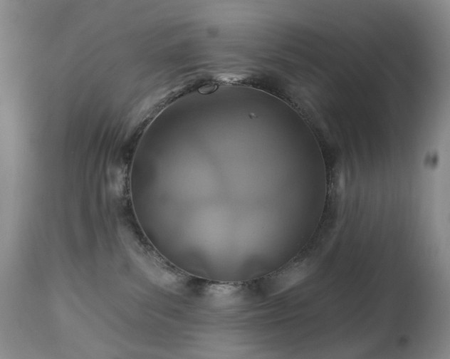 X0000112460139200908241307