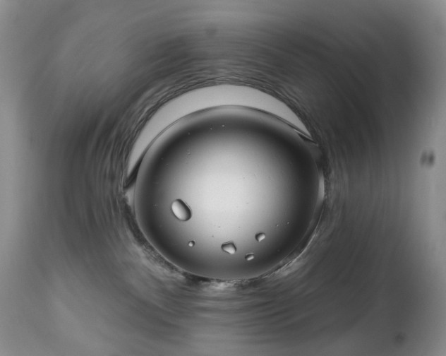 X0000112460140200908241307