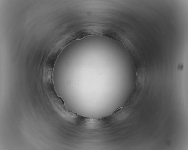 X0000112460141200908241307