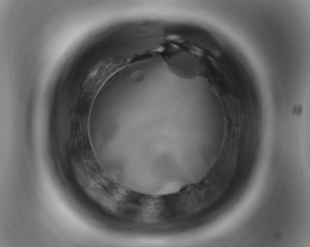 X0000112460143200908241307