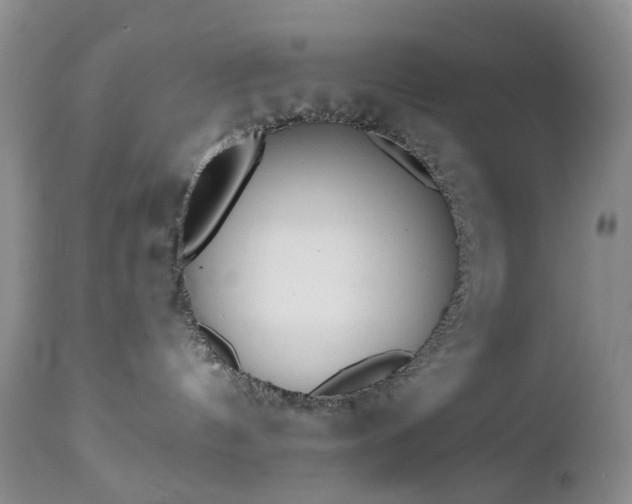 X0000112460144200908241307