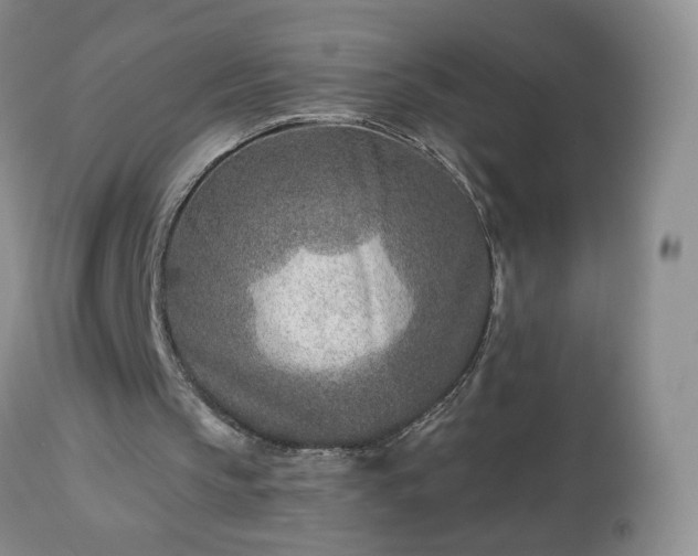 X0000112460145200908241307