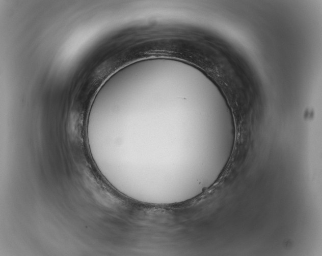 X0000112460146200908241307