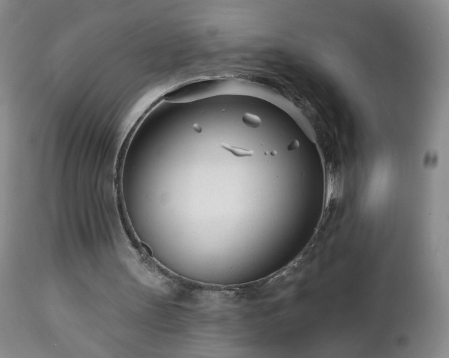 X0000112460147200908241307