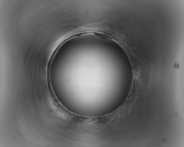 X0000112460148200908241307