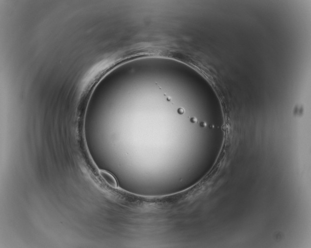 X0000112460149200908241307