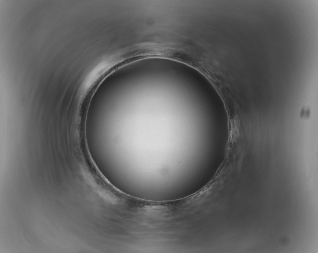 X0000112460150200908241307