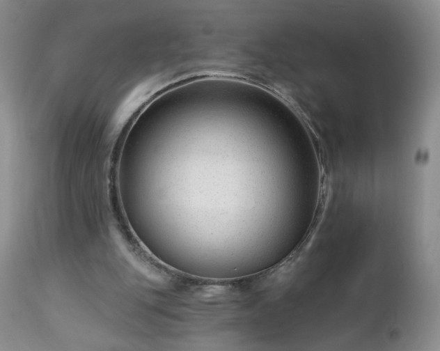 X0000112460151200908241307