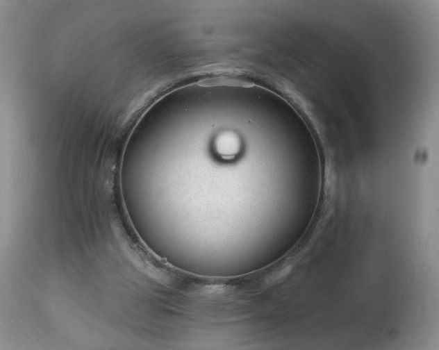 X0000112460153200908241307