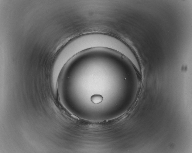 X0000112460154200908241307