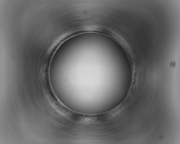 X0000112460155200908241307