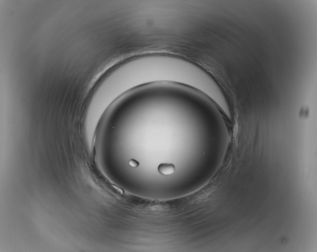 X0000112460156200908241307