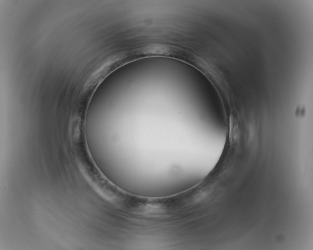 X0000112460157200908241307